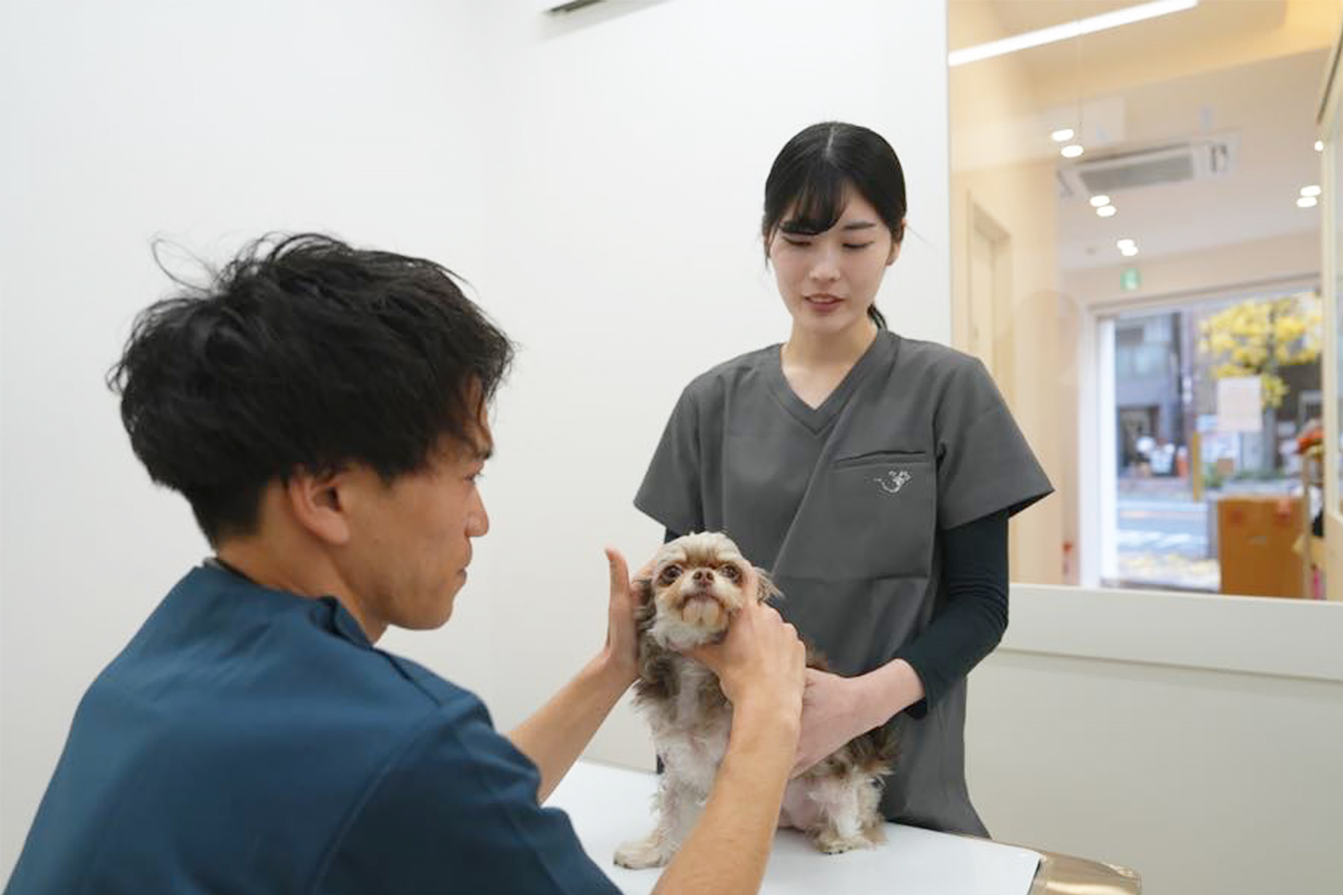 京都市 | 動物病院について