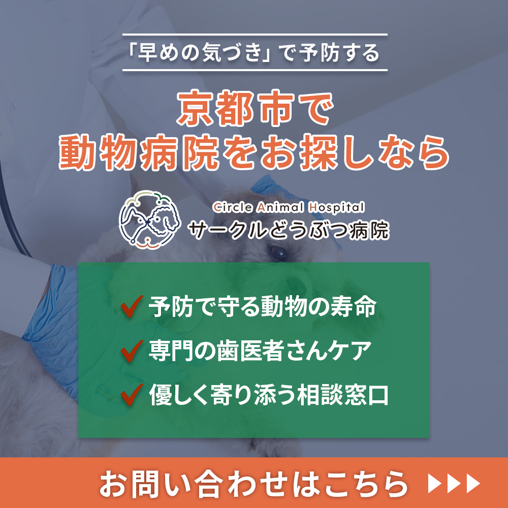 modal_banner